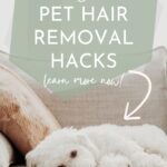Pinterest Image for 10 Pet Hair Removal Hacks by Simple Neat Home