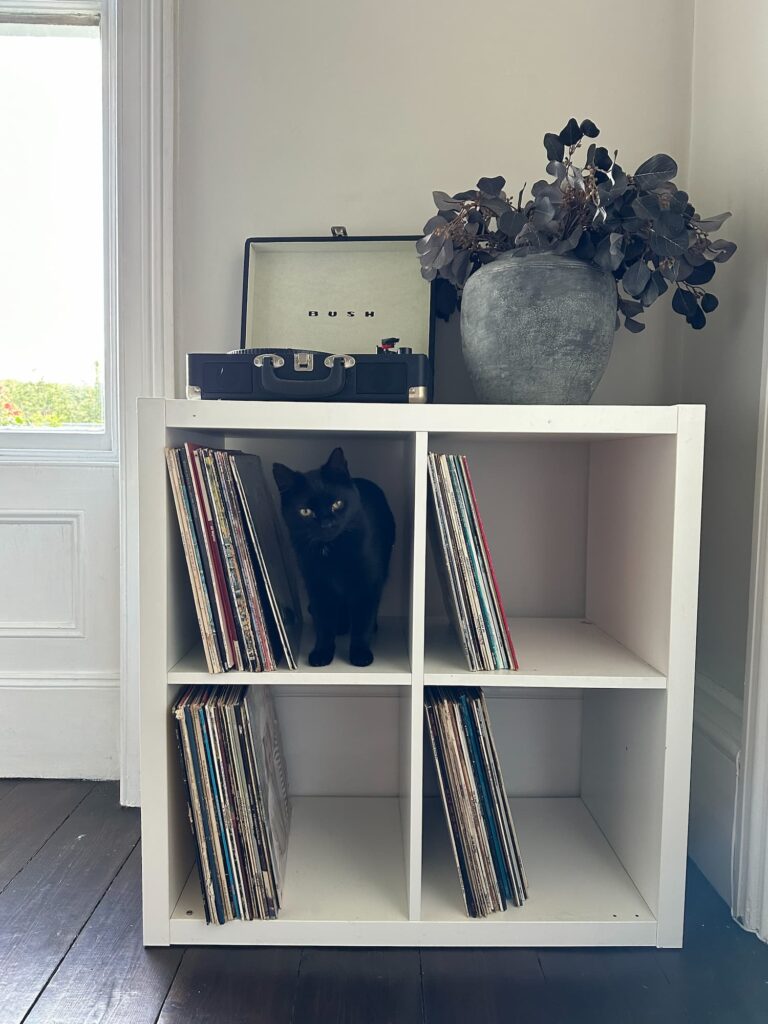 A four cube shelf unit with records and a record player. There is a black cat on one of the shelves, looking at the camera