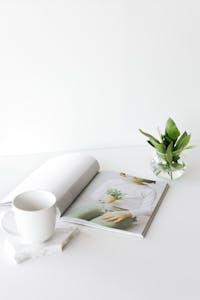 White cup and magazine on a clean table with green plant decor, showcasing minimalist style.